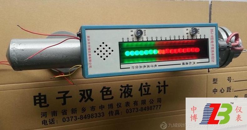 DSJ-6型高低水位报警电子双色水位计