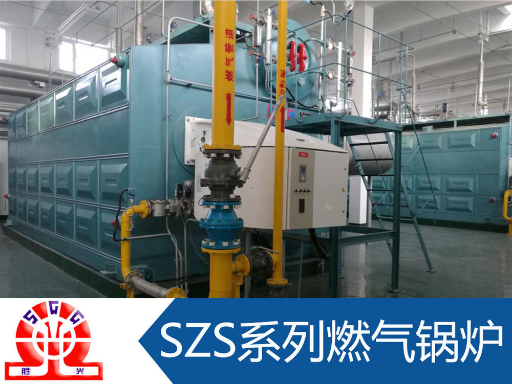 环保蒸汽锅炉厂家 供应然天然气锅炉