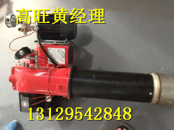 高效节能燃烧充分的醇基燃料燃烧机