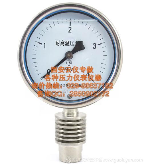 耐高温压力表西安云仪