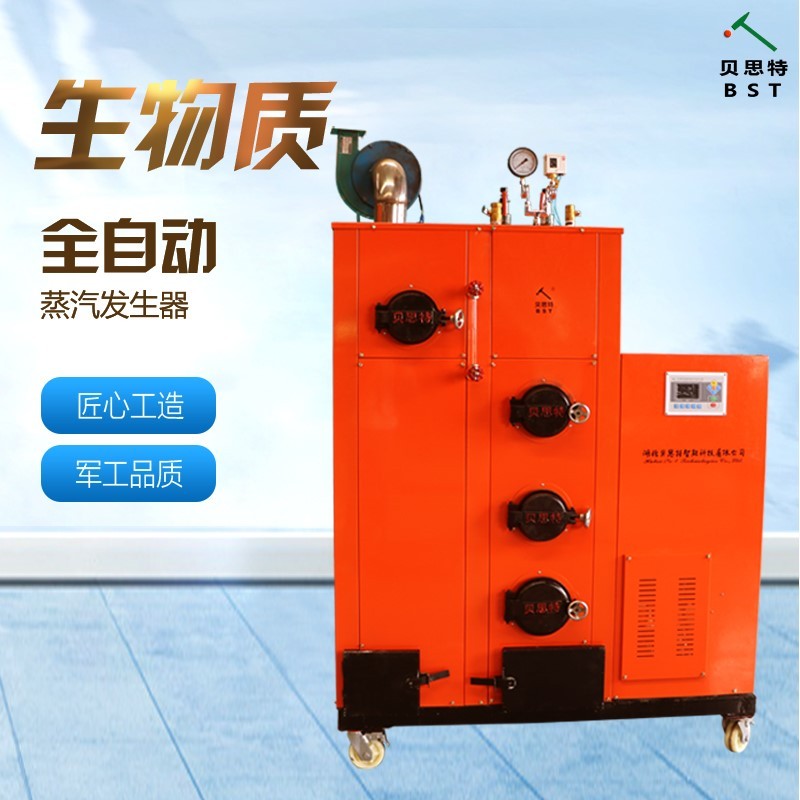湖北贝思特生物质蒸汽发生器