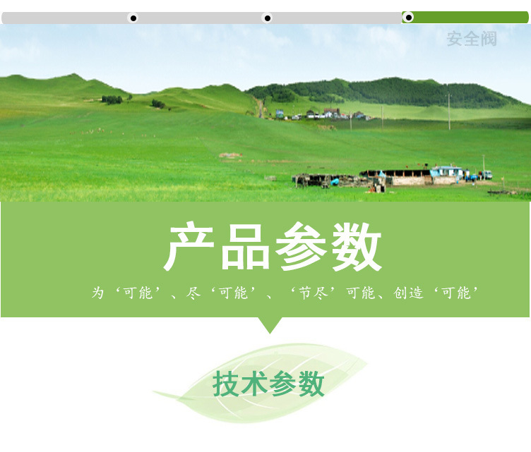 (绿)300kg燃油燃气蒸汽发生器详情页(绿鼎能源)2017