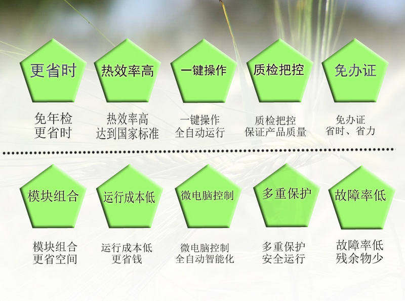 燃气蒸汽发生器系列详情页05(2)